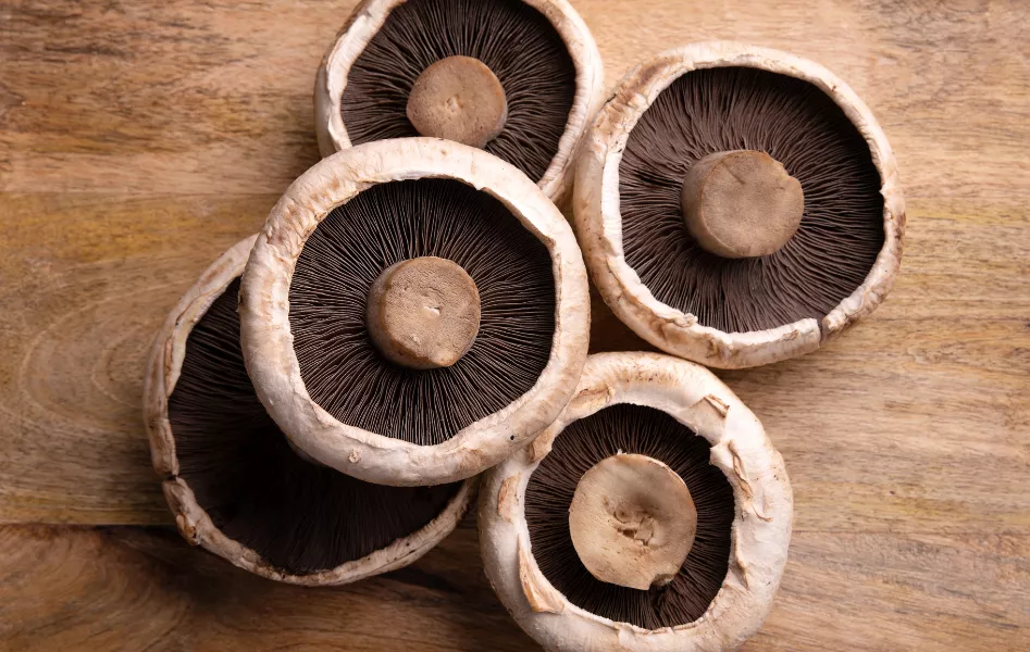 Portobello met zoete aardappel & spinazie Energetica Natura